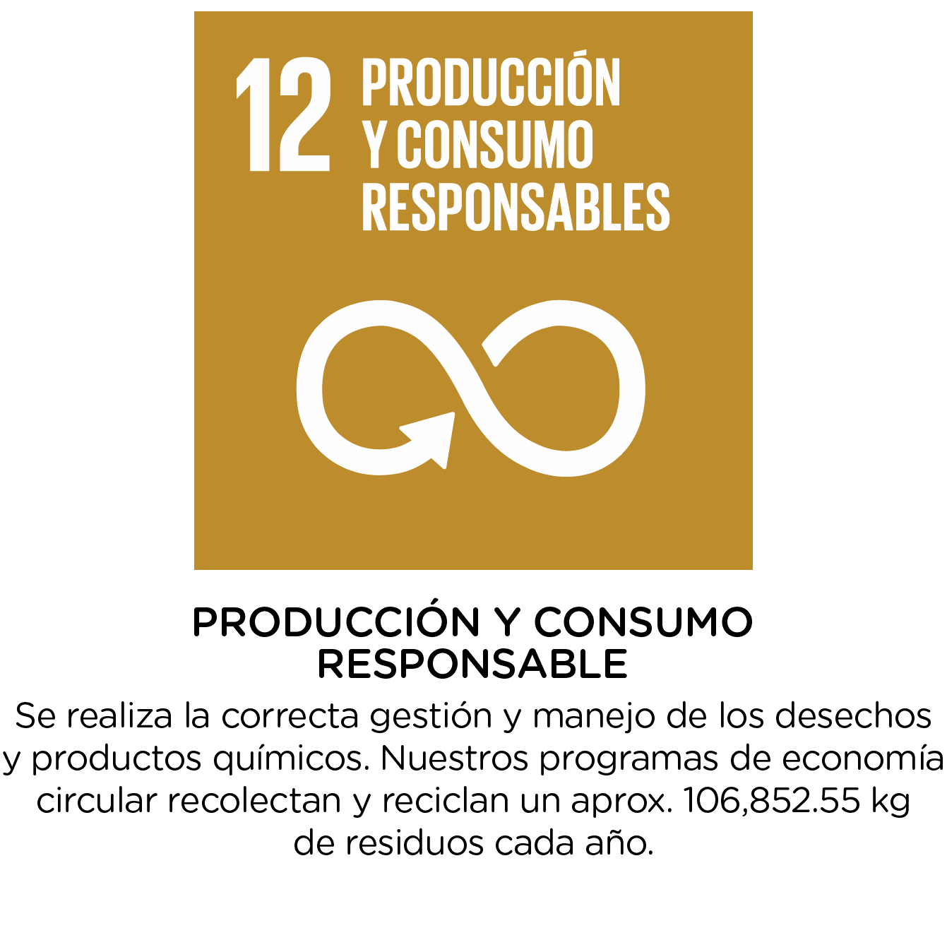 Objetivo de Desarrollo Sostenible 12