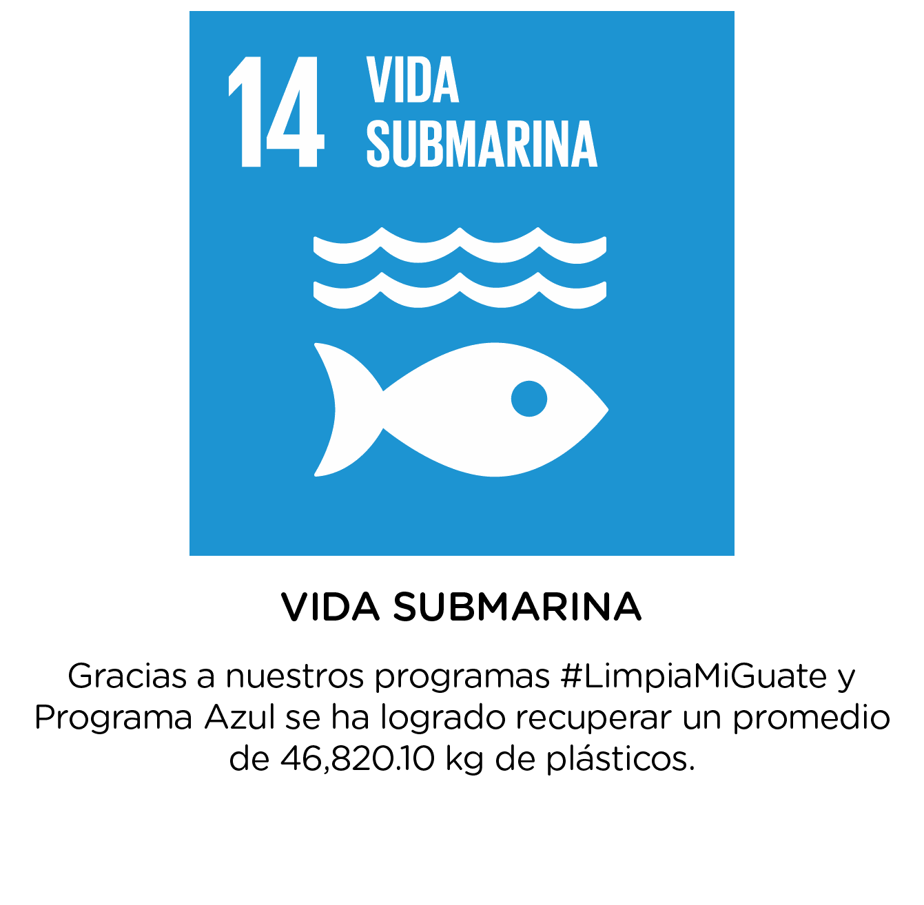 Vida Submarina