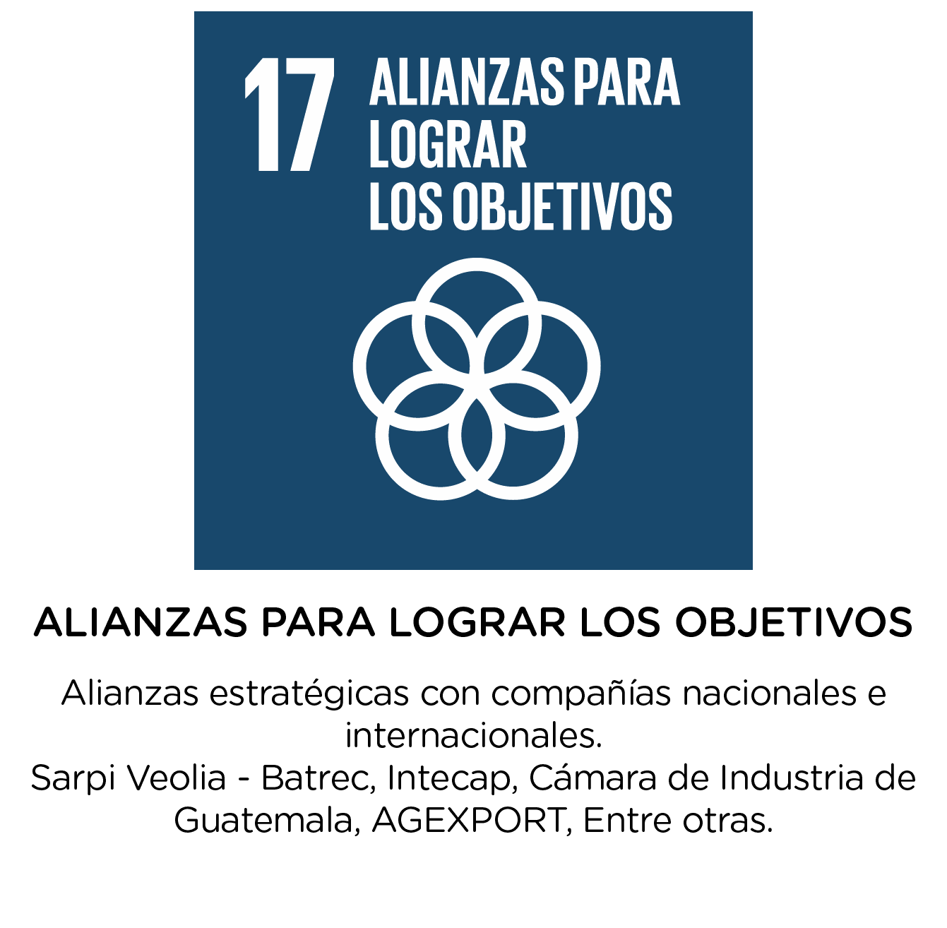 Alianzas estrategicas 17