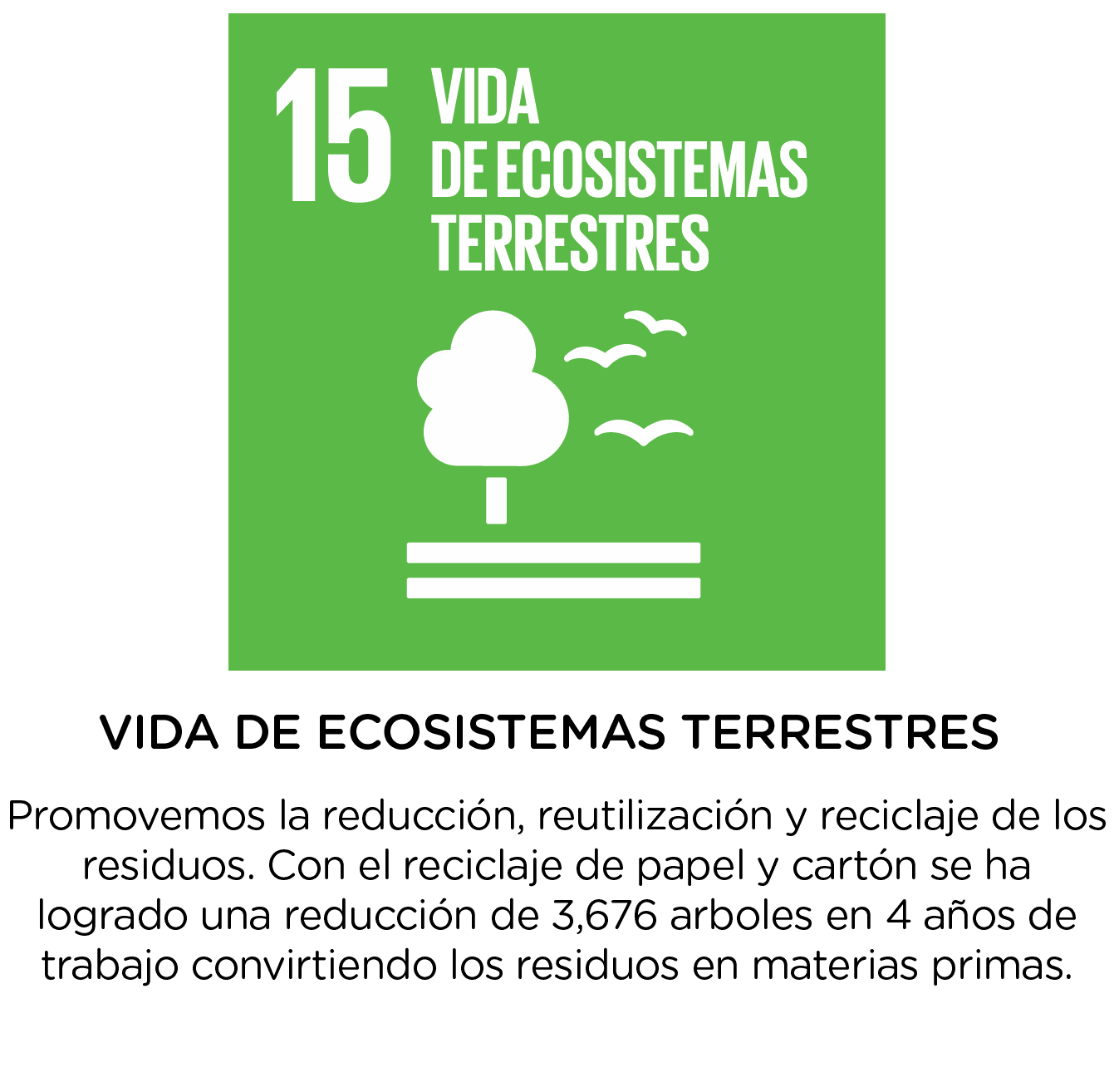 Ecosistemas terrestres