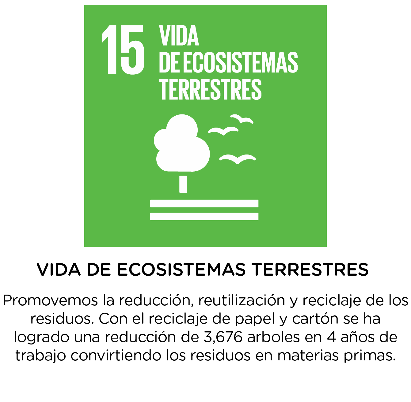 Objetivos de desarrollo sostenible